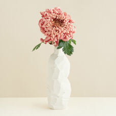 Vase / Karaffe weiss
30 cm