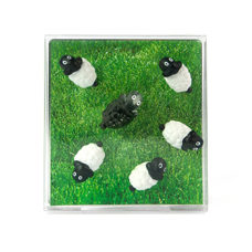 Magnet Sheep