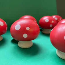 Wooden mushroom