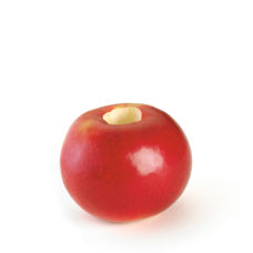 Carottier aux pommes