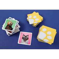Memorie Crazy Cats