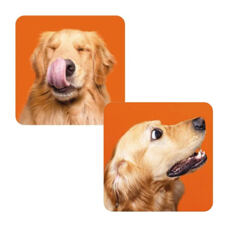 Memorie Funny Dogs!