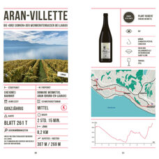 Wine Hiking Switzerland