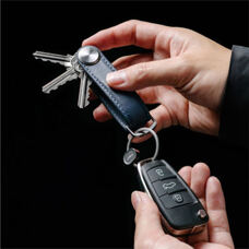 Orbit Pro key fob
black