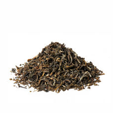 SIROCCO Tee
Green Jasmine
