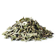 SIROCCO Tee
Ginger Lemon Dream