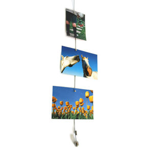 Ligne de suspension Steely Dan 150 cm, 8 aimants 