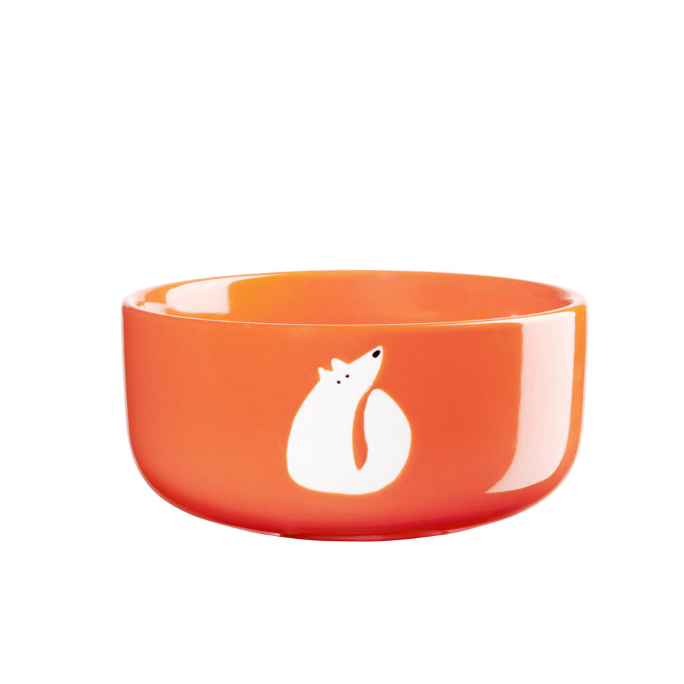 Schale orange,
Fuchs Schale orange,
Fuchs