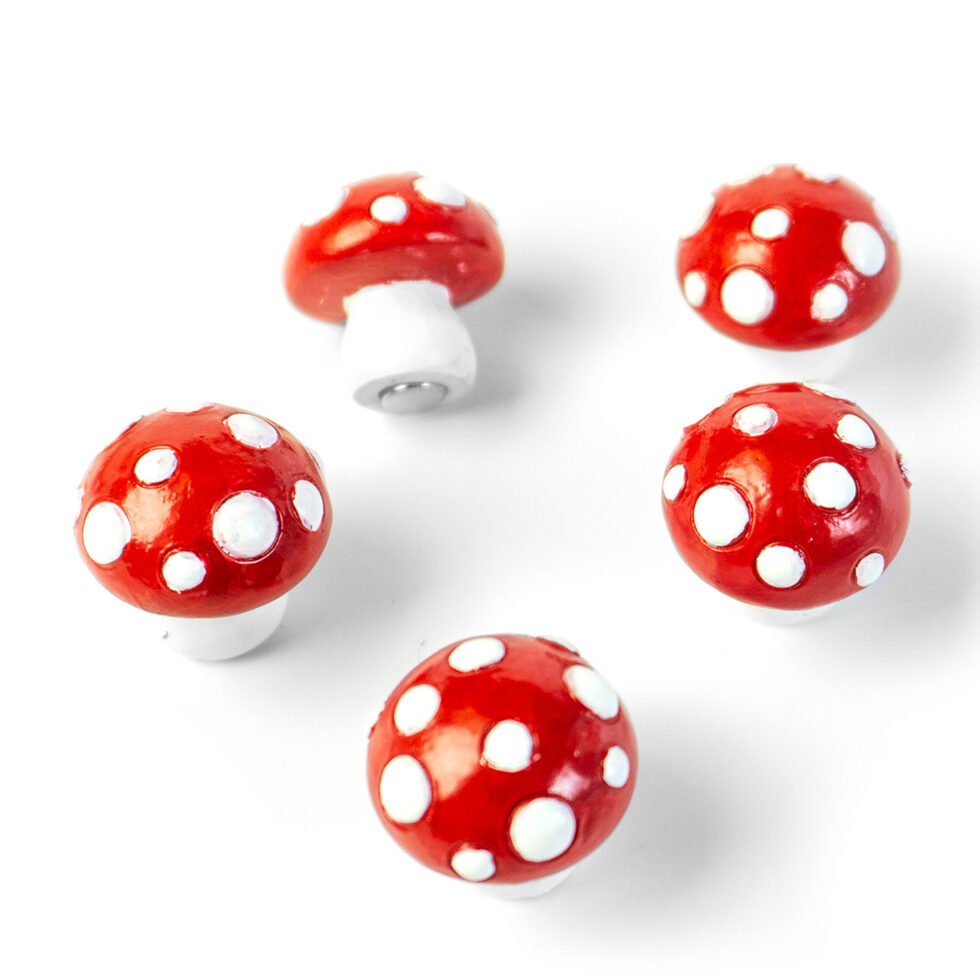 Toadstool magnet Toadstool magnet