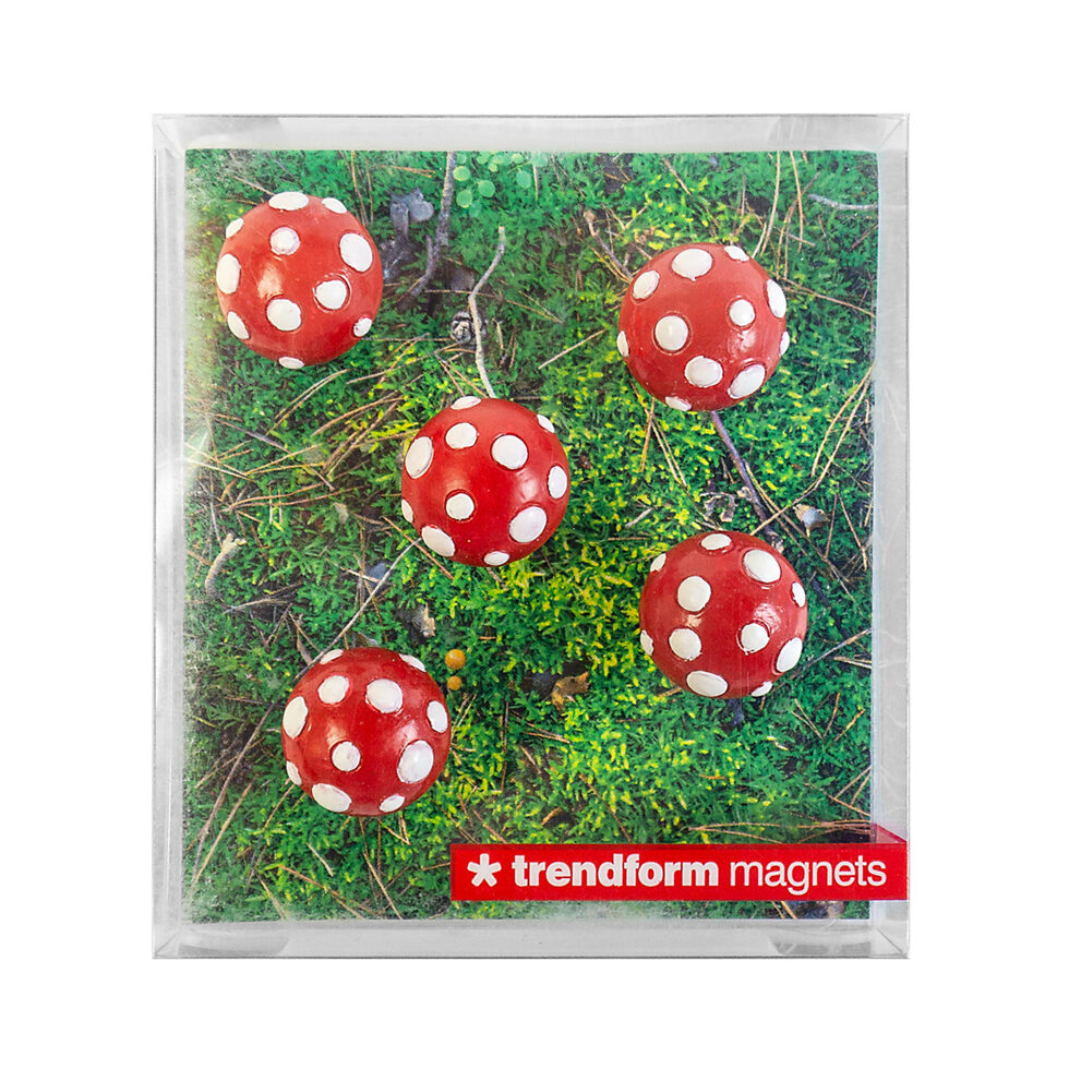 Toadstool magnet 