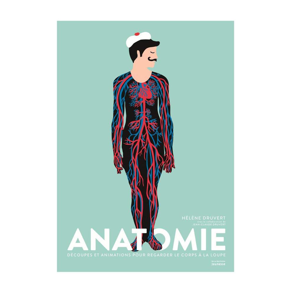 Anatomy Anatomy