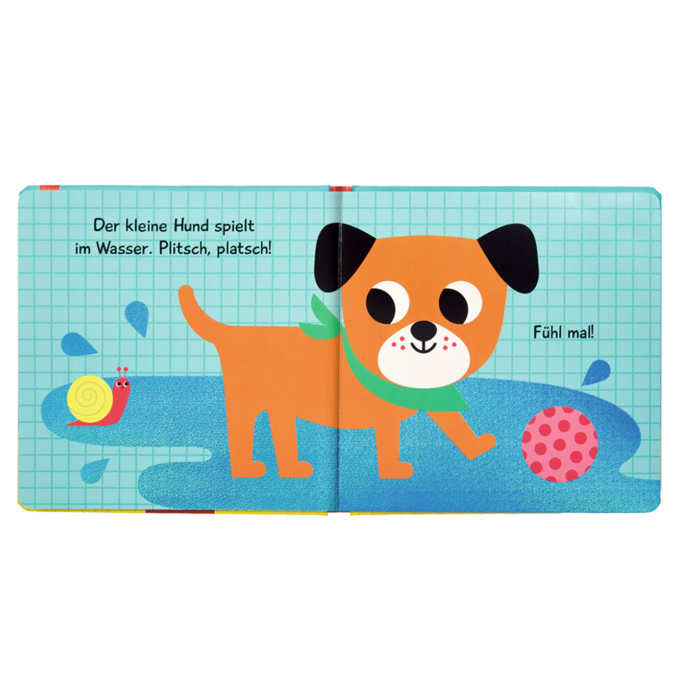 Small Dog
Touch-and-feel book 
