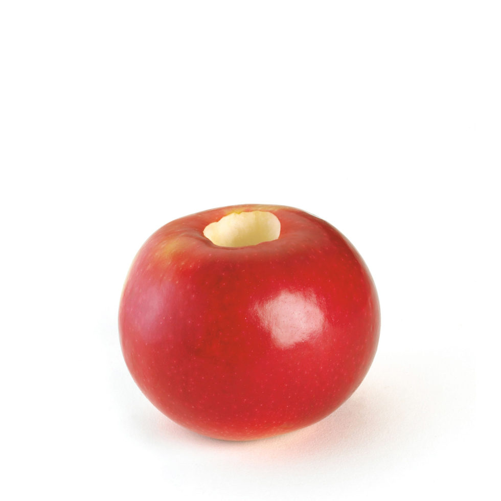 Carottier aux pommes 