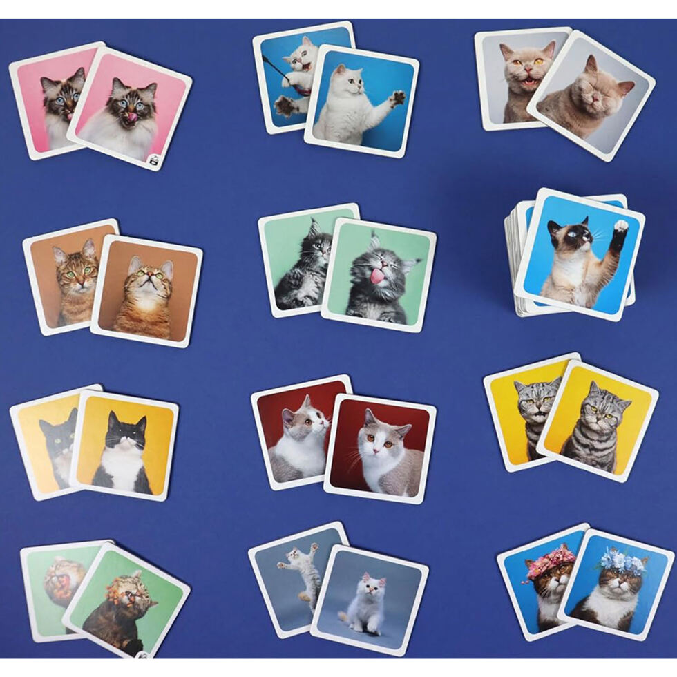 Memorie Crazy Cats 