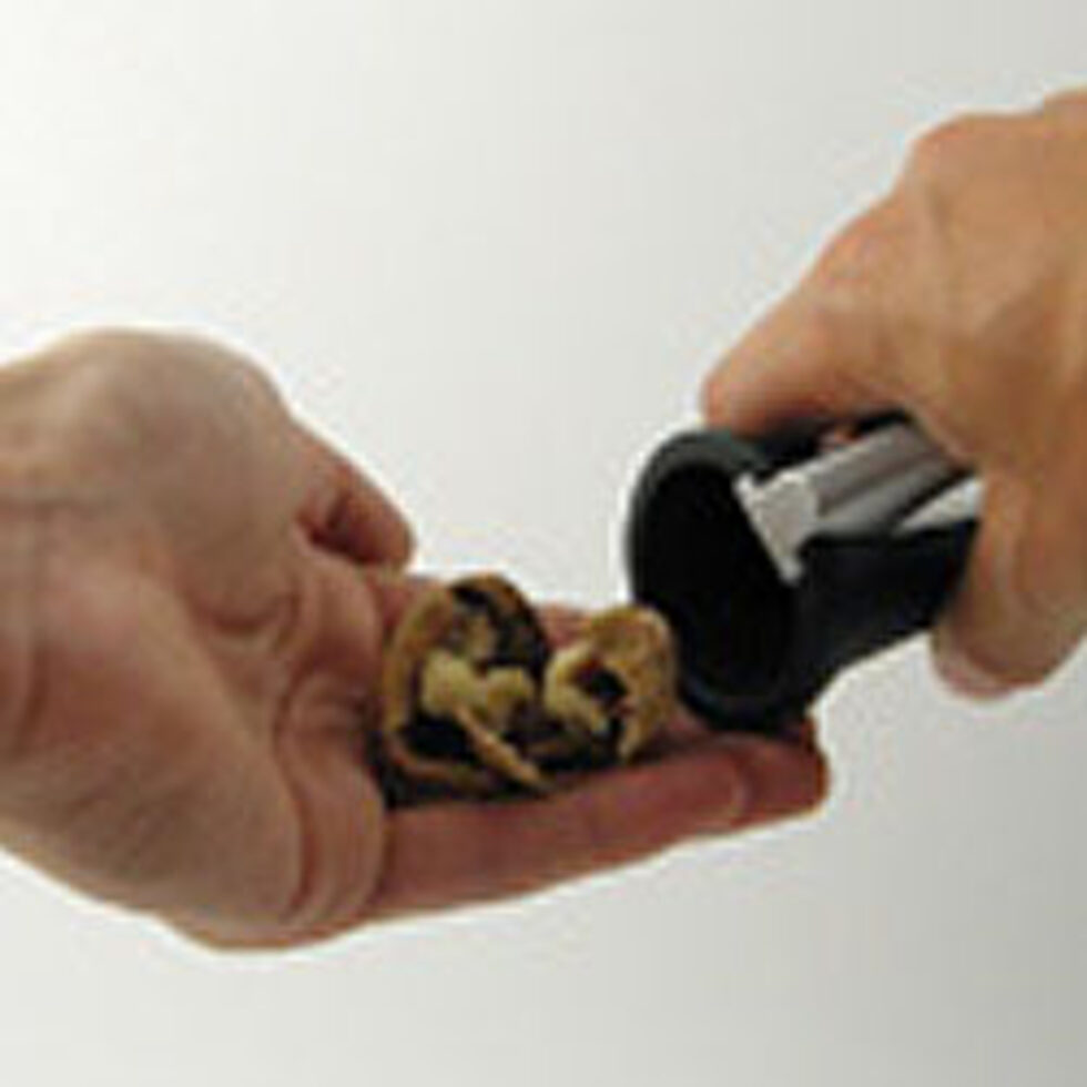 Nutcracker funnel black 