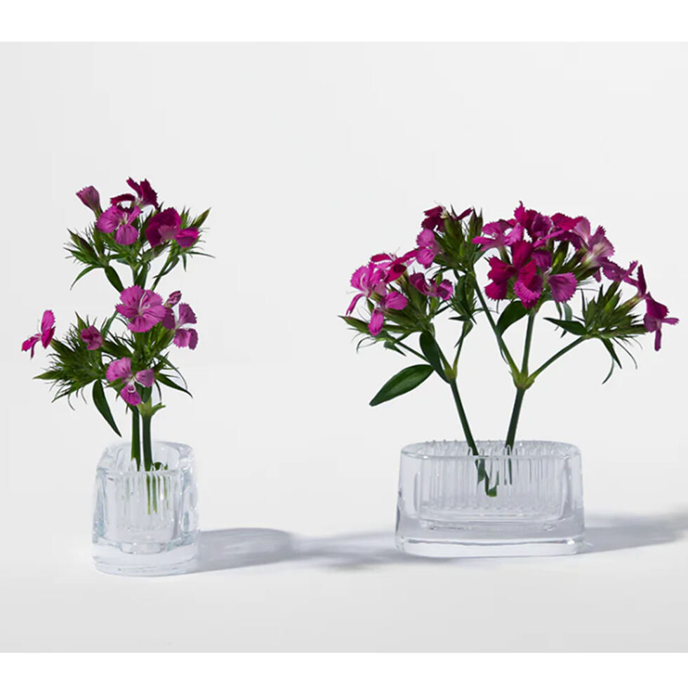 Verre Ikebana
ovale clair 
