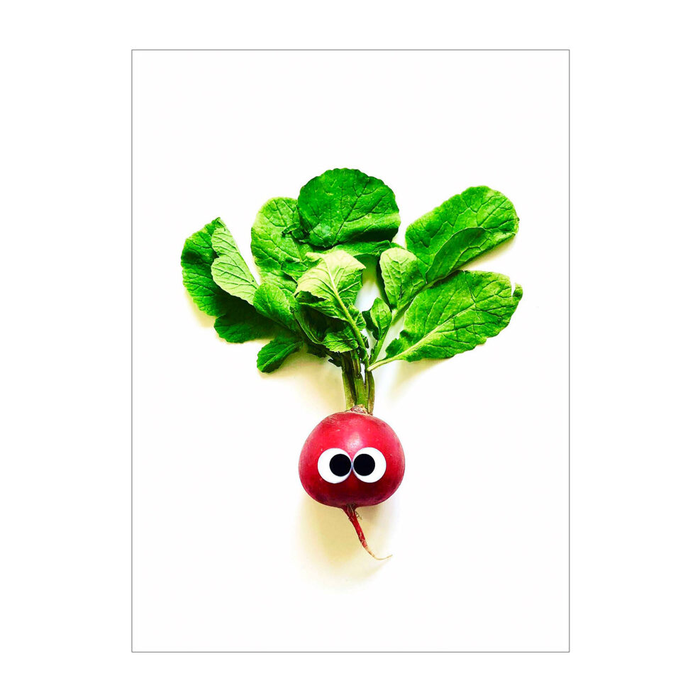 Postcard "Radish Postcard "Radish