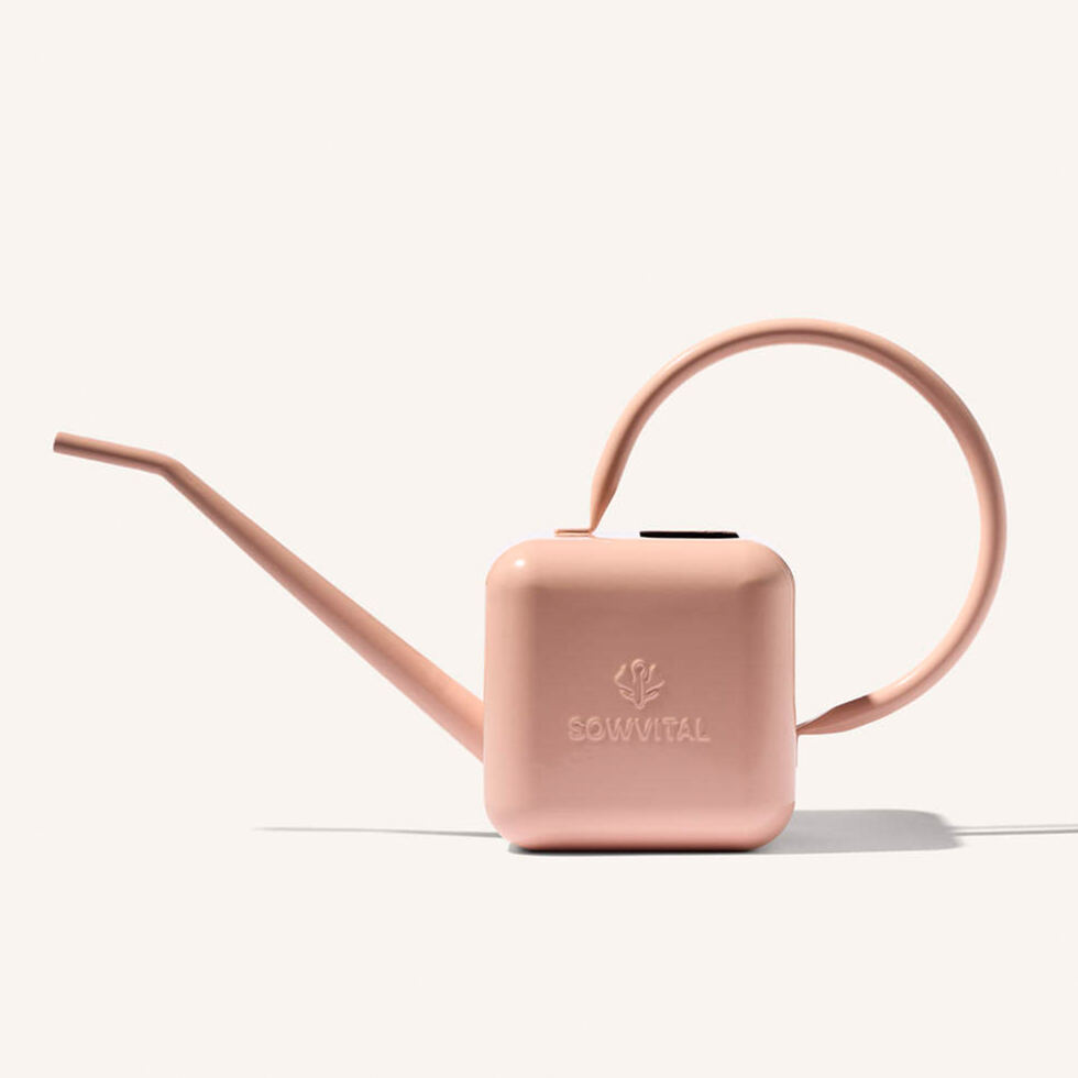 Watering can pink 1.25lt 