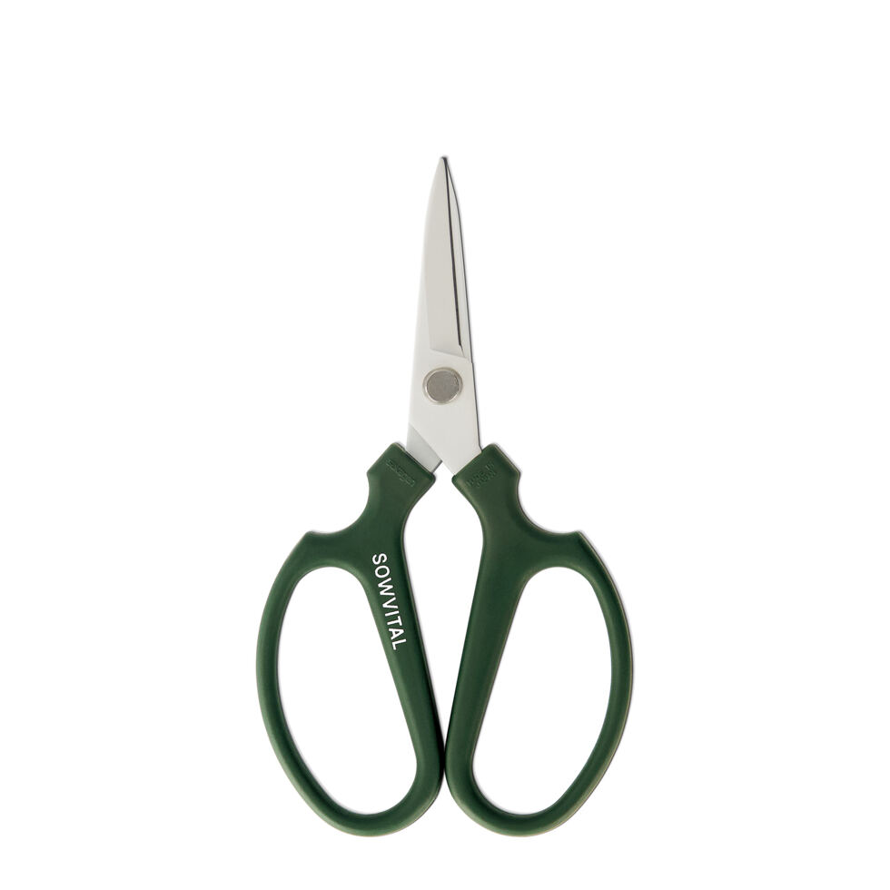 Garden shears
Houseplants green Garden shears
Houseplants green