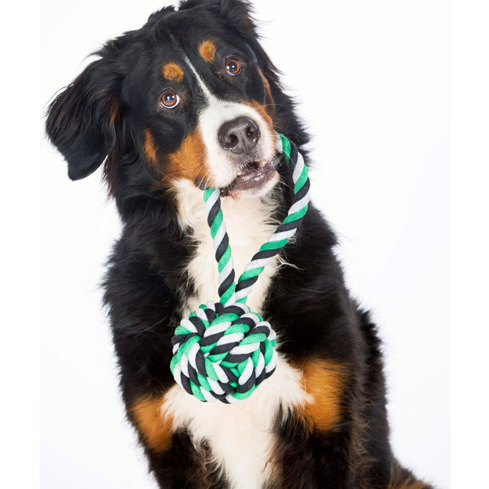 Dog toy slingshot ball
green/black 